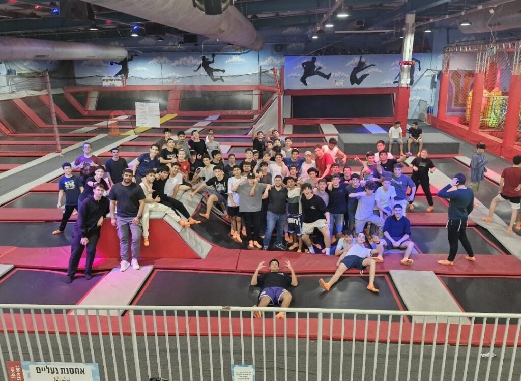 פעילות פנימיה